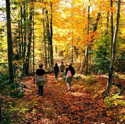 Grail Springs Retreat Centre for Wellbeing | 2004 Bay Lake Rd, Bancroft, ON K0L 1C0, Canada | Phone: (877) 553-5772