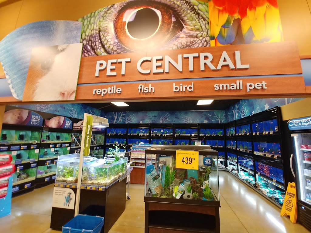 PetSmart | 2311 Appleby Line Unit 2, Burlington, ON L7L 0J3, Canada | Phone: (905) 332-7246