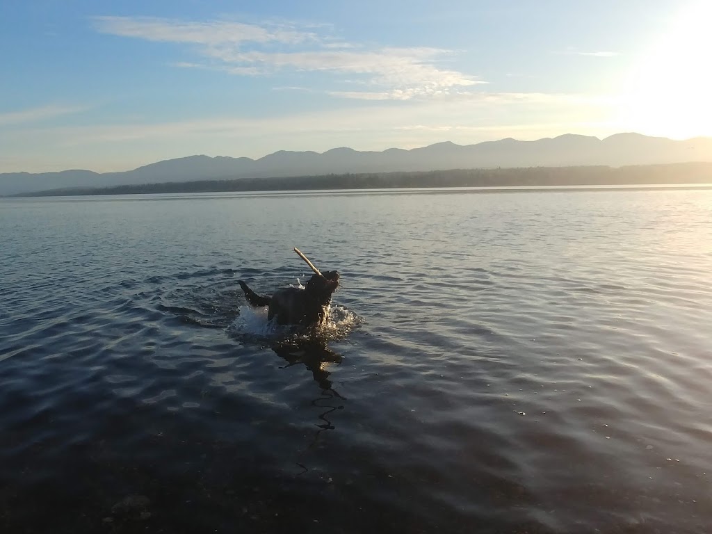 19 wing comox yacht club