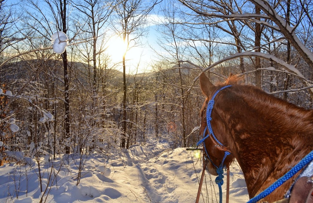 Ranch Mont-Tremblant | 710 Chemin de Val-des-Lacs, Val-des-Lacs, QC J0T 2P0, Canada | Phone: (438) 808-7143