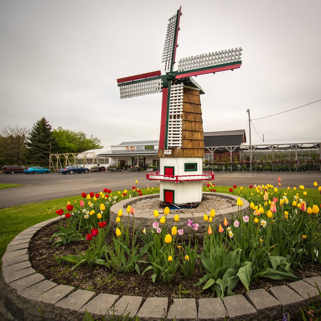 The Mill Greenhouses & Garden Centre | 2718 Highway 3 Port Colborne East, ON L3K 5V3 Canada, Port Colborne, ON L3K 5V3, Canada | Phone: (905) 834-7466