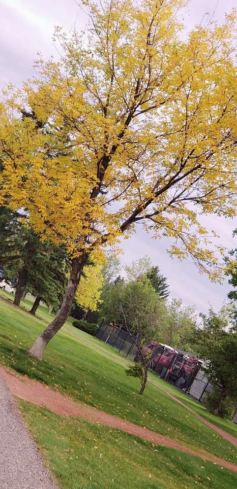 Nicholas Sheran Picnic Shelter | Nicholas Sheran Park, Coal Banks Trail, Lethbridge, AB T1K 3W3, Canada | Phone: (403) 320-3020