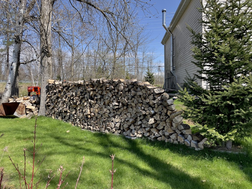 King Firewood | 18800 Dufferin St, Newmarket, ON L3Y 4V9, Canada | Phone: (905) 758-1963