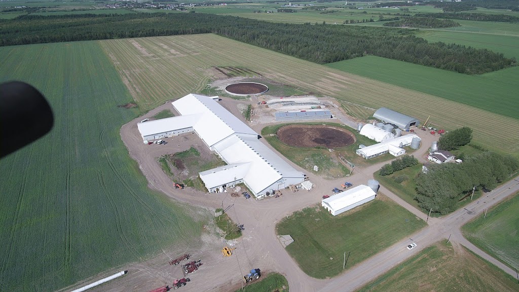 Ferme Léonard et Lise Côté | 864 Rang St Léandre, Hébertville, QC G8N 1A1, Canada | Phone: (418) 344-1062