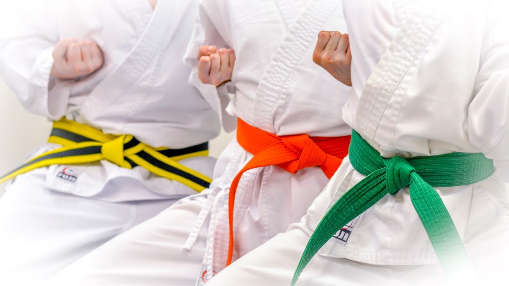 Fighting Griffin Family Karate (aka Guelph Family Karate) | South City Centre, 511 Edinburgh Rd S #102, Guelph, ON N1G 4S5, Canada | Phone: (519) 265-4504
