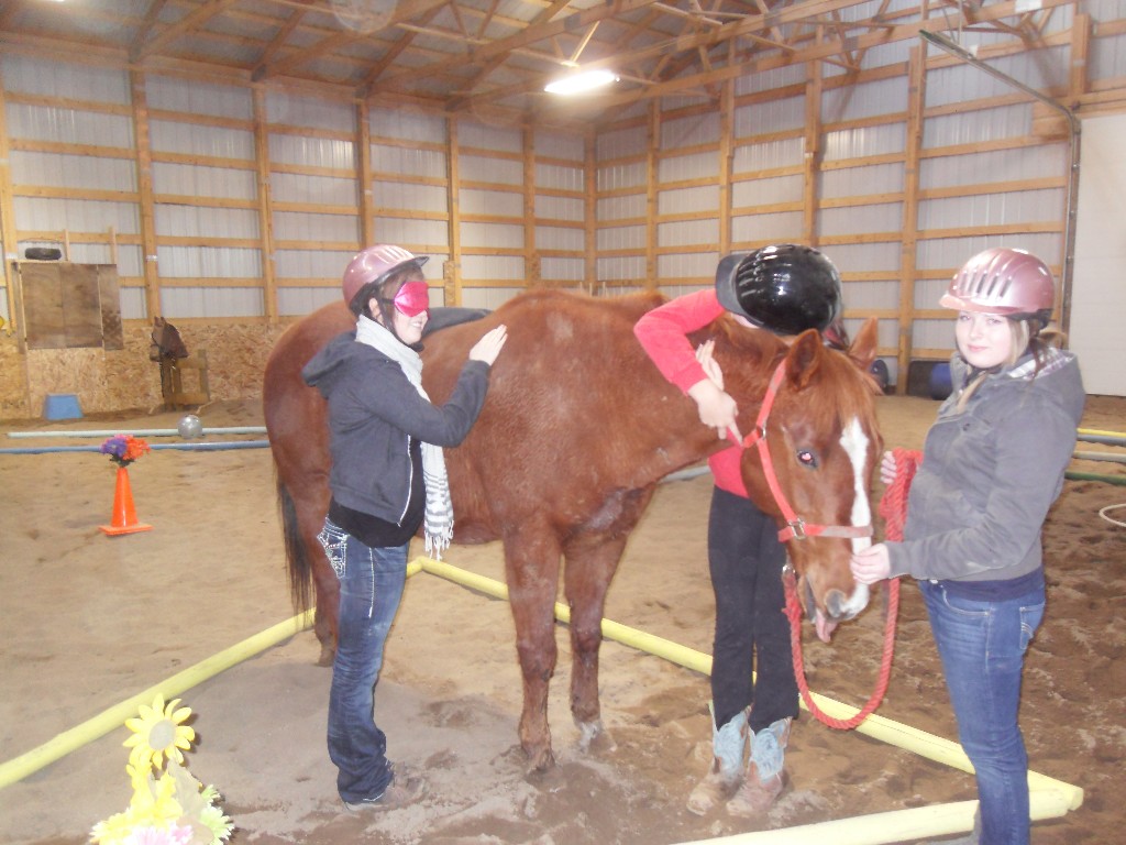 Horsecraft Equine & Art Centre Inc. | 2008 Township Road 564, Onoway, AB T0E 1V0, Canada | Phone: (780) 868-5922