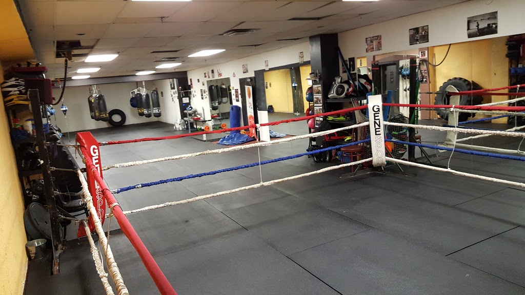 Ambition Boxing | 10417A Boul Gouin O, Roxboro, QC H8Y 2K8, Canada | Phone: (514) 707-4957