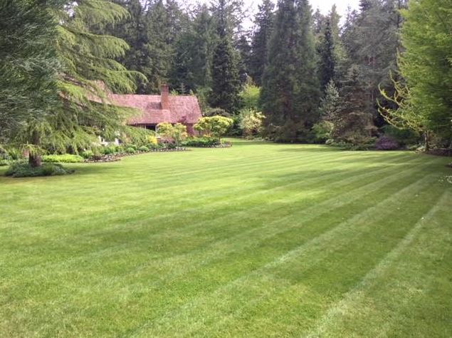 JN Landscaping Ltd. | 11435 Hawthorne Pl, North Saanich, BC V8L 5J7, Canada | Phone: (250) 888-9267