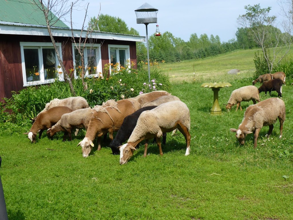 Ferme les trois coteaux | 24 Rang Thomas, Notre-Dame-de-la-Paix, QC J0V 1P0, Canada | Phone: (819) 522-6330