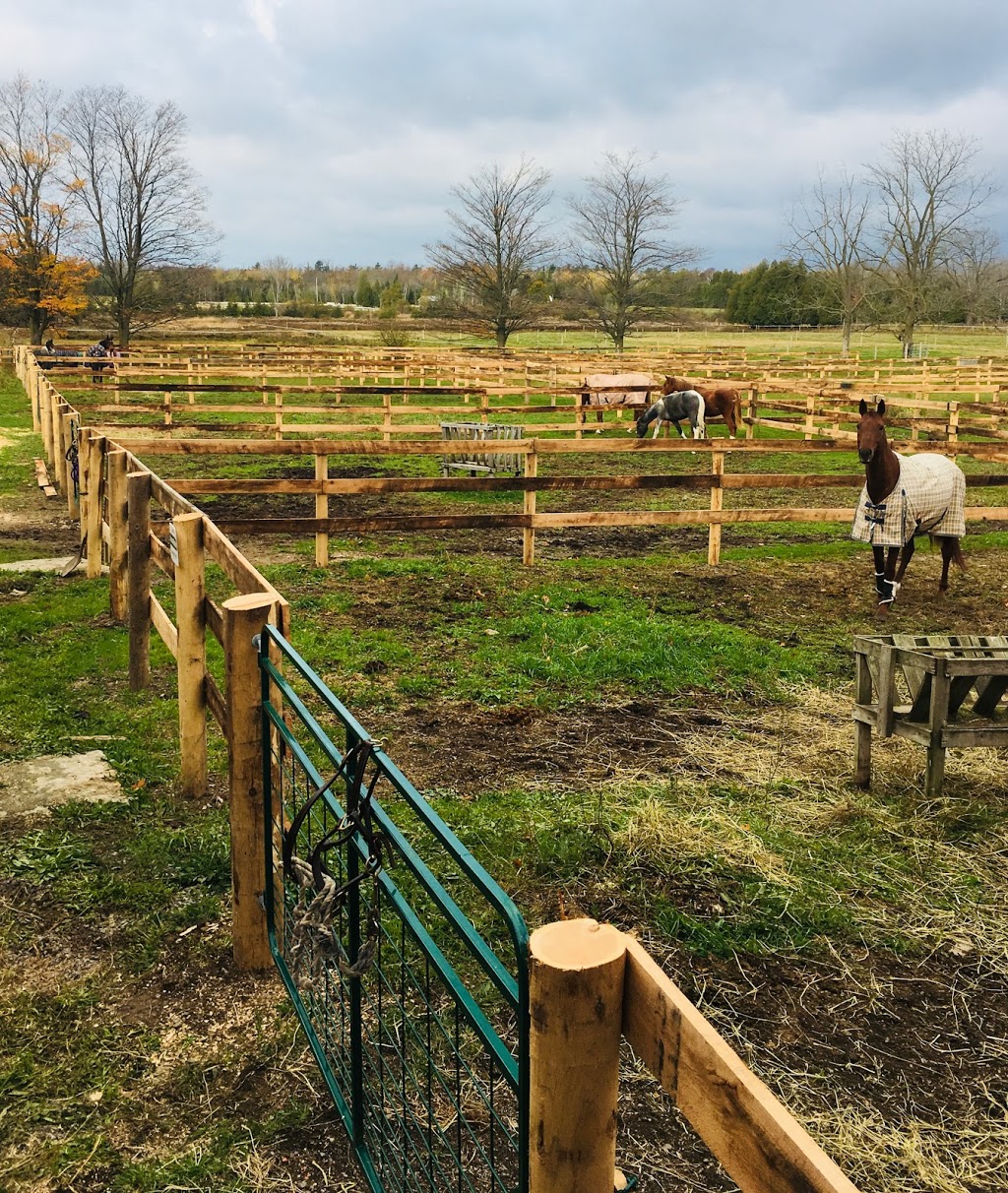 Kings Meadow Equestrian Centre | Middletown Rd, Hamilton, ON N0B 2J0, Canada | Phone: (905) 520-9040