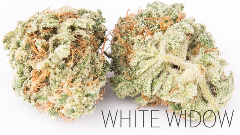 Pineapple Express Dispensary | 608 Esquimalt Rd, Victoria, BC V9A 3L4, Canada | Phone: (778) 265-5250