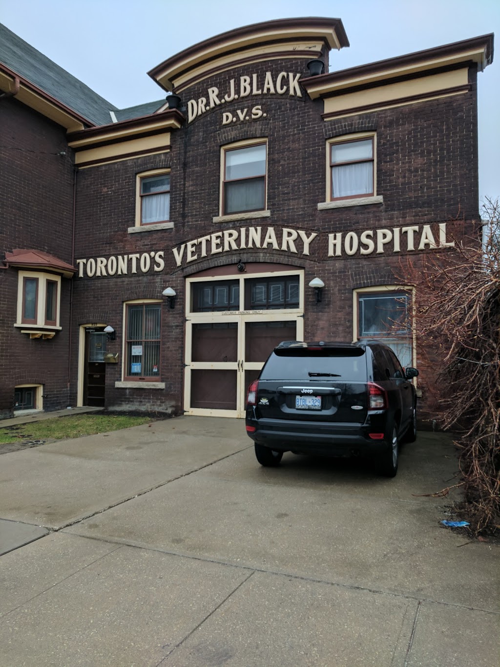 Blacks Toronto Veterinary Hospital | 923 Queen St E, Toronto, ON M4M 1J6, Canada | Phone: (416) 466-7351