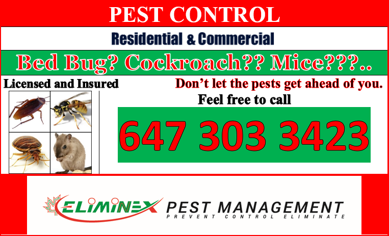 Eliminex Pest Management | 3028 Danforth Avenue, Suite 209 Toronto, M4C 1N2, Toronto, ON M4C 5L6, Canada | Phone: (647) 303-3423