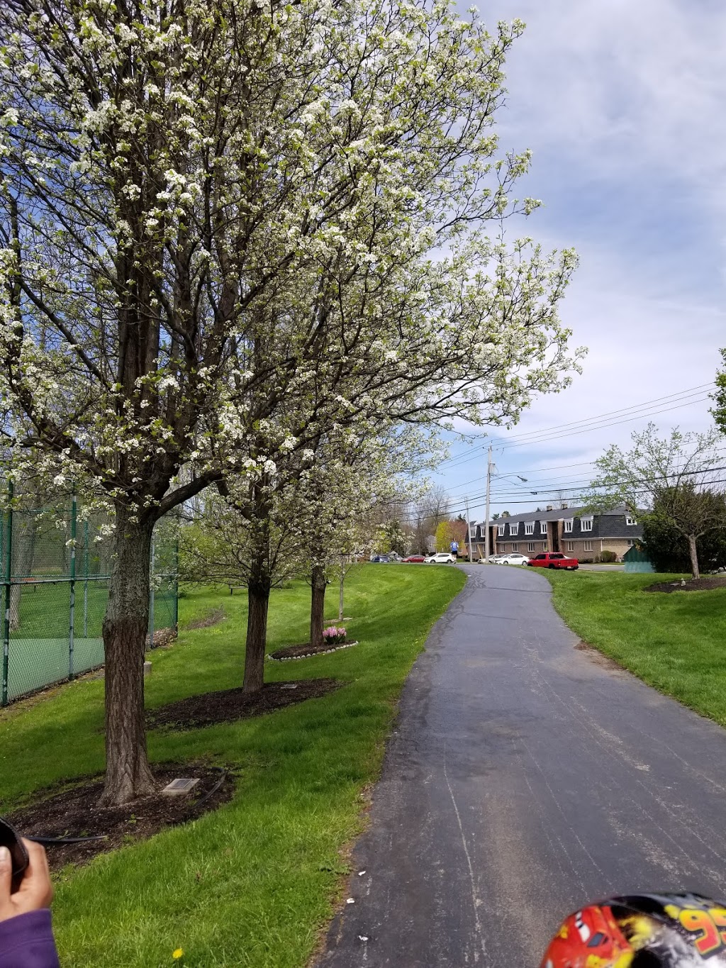 UB Bike Path Parking - N Forest and Maple | Buffalo, NY 14221, USA