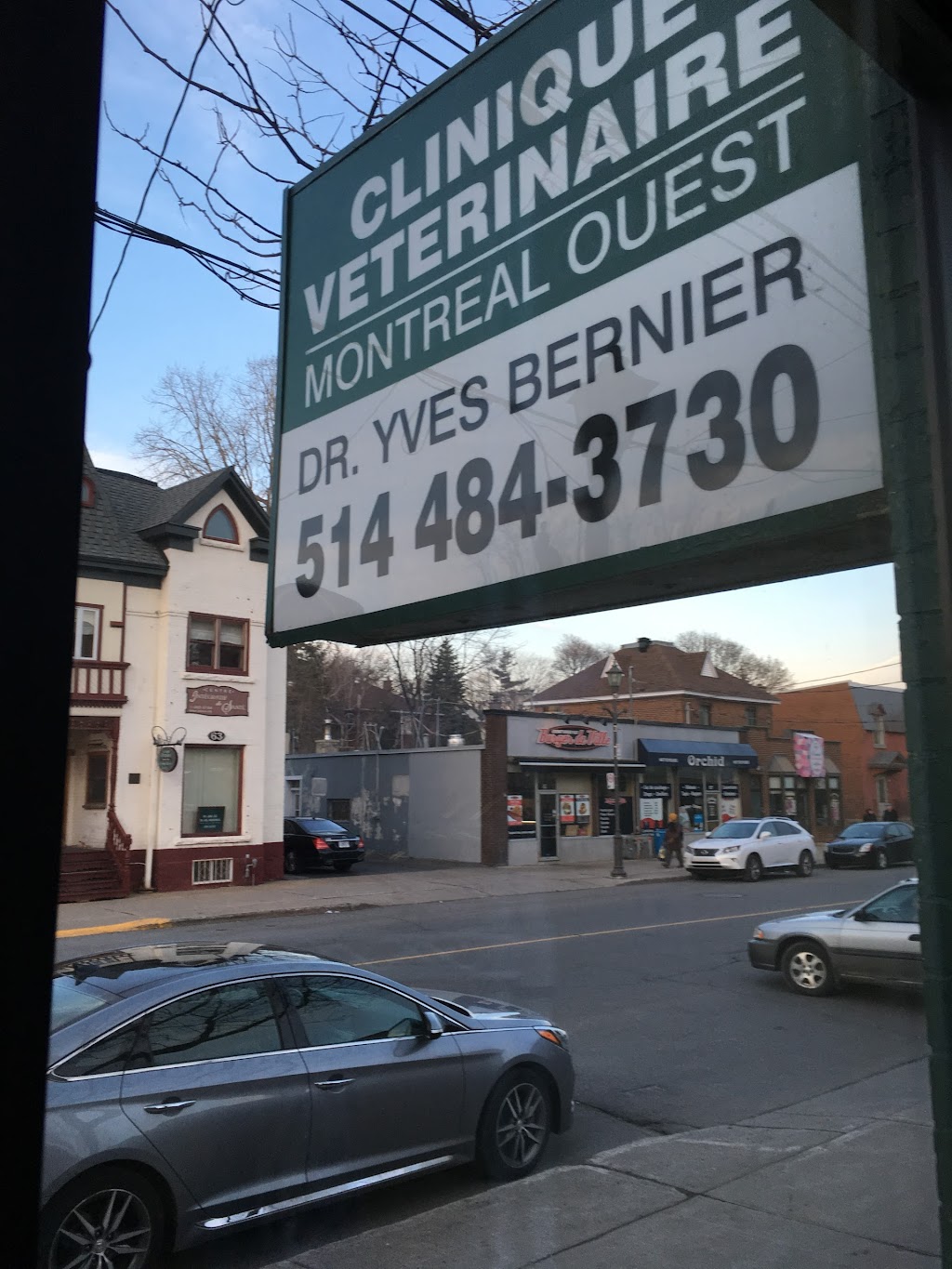 Clinique Vétérinaire Montréal-Ouest | 66 Avenue Westminster N, Montréal-Ouest, QC H4X 1Z2, Canada | Phone: (514) 484-3730