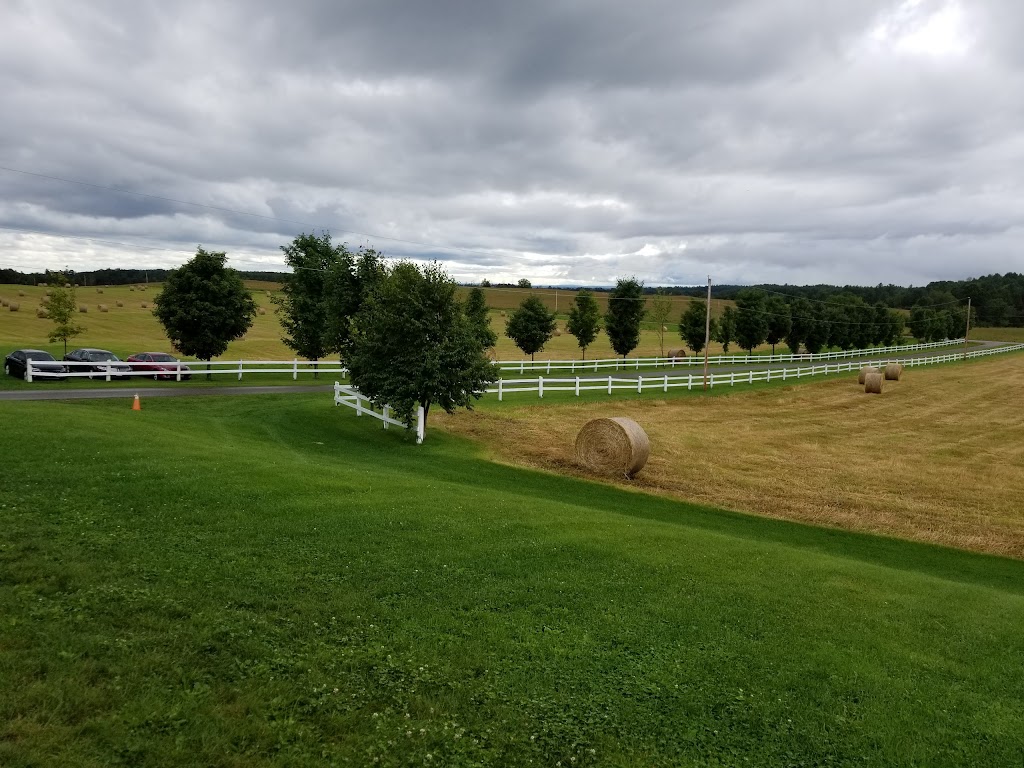 Northfork Barn Rentals/ Home Stays | 252 ancien, Chemin de Nichabau, Chapeau, QC J0X 1M0, Canada | Phone: (613) 602-5522