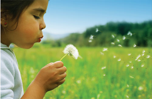 North Vancouver Allergy | 145 Chadwick Ct Suite 370, North Vancouver, BC V7M 3K1, Canada | Phone: (604) 989-0091