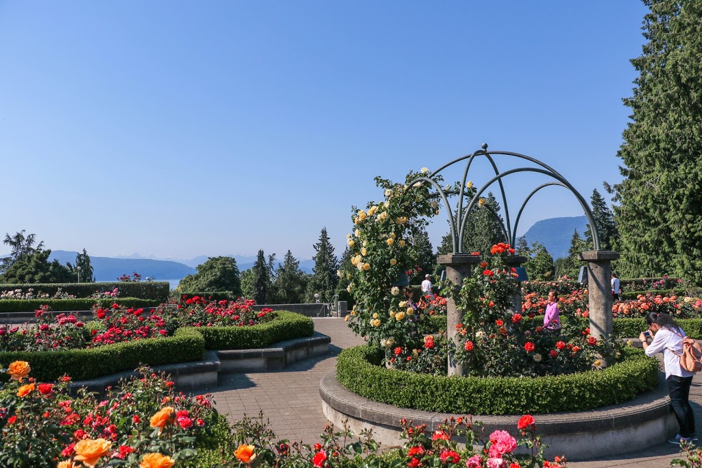 UBC Rose Garden | 6301 Crescent Rd, Vancouver, BC V6T 1Z2, Canada