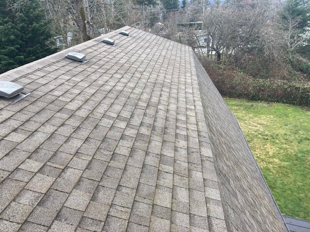 Davidson Roof Cleaning | 7827 N Island Hwy, Black Creek, BC V9J 1G8, Canada | Phone: (250) 792-0188