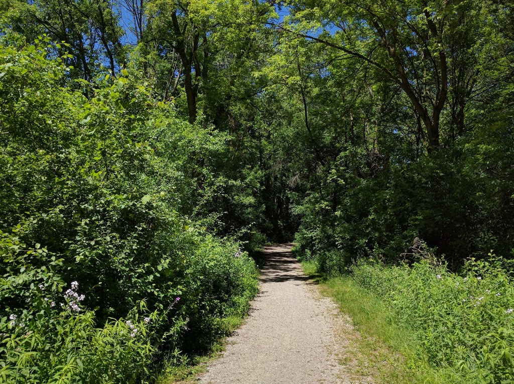 Carisbrook Drive Natural Area | Bridgeport North, Kitchener, ON N2K, Canada