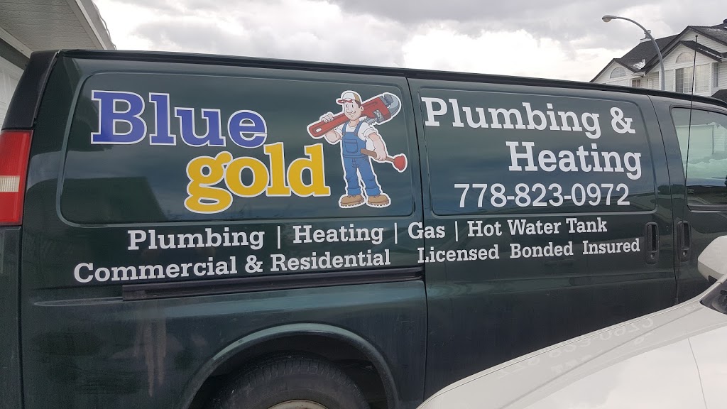 Blue Gold Plumbing & Heating Ltd | 3072 Goldfinch St, Abbotsford, BC V2T 5J4, Canada | Phone: (778) 823-0972