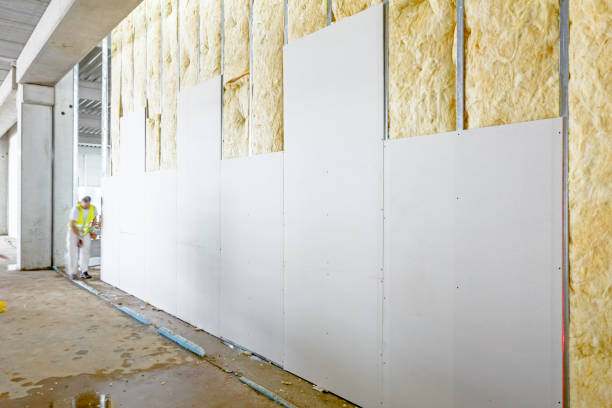 Ares Drywall & Painting | 129 East Dr, Brampton, ON L6T 1B5, Canada | Phone: (905) 216-0254