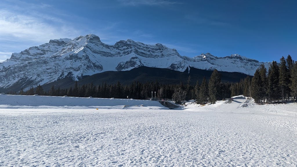 Lake Minnewanka Cruise | Lake Minnewanka Scenic Dr, Alberta T1L 1A1, Canada | Phone: (866) 474-4766