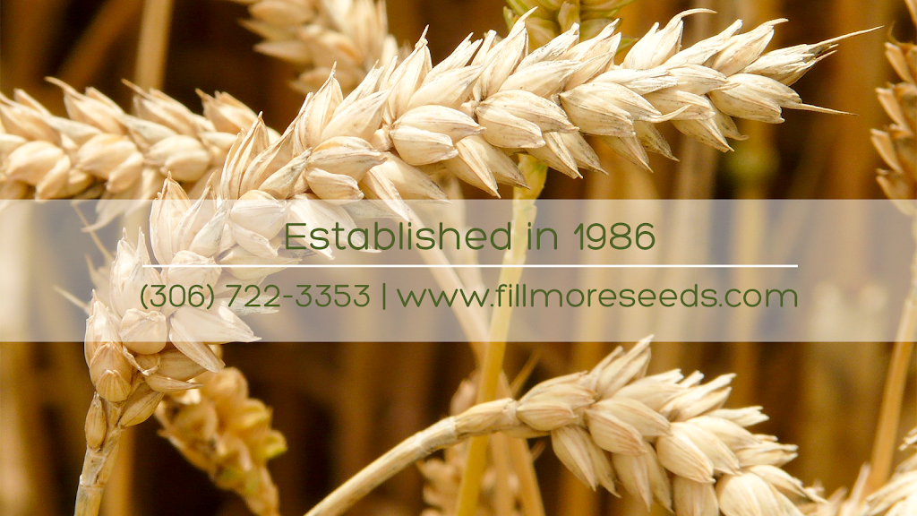 Fill-More Seeds Inc | Rallway Ave, Fillmore, SK S0G 1N0, Canada | Phone: (306) 722-3353