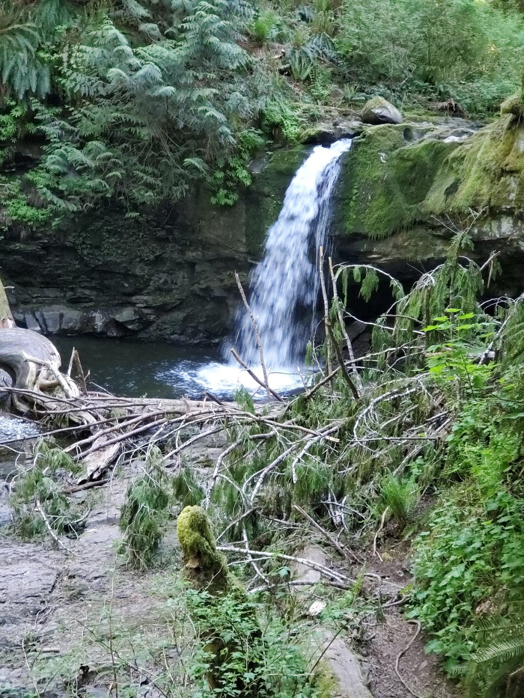 Stocking Creek Waterfall | Stocking Creek Trail, Ladysmith, BC V9G 2A4, Canada