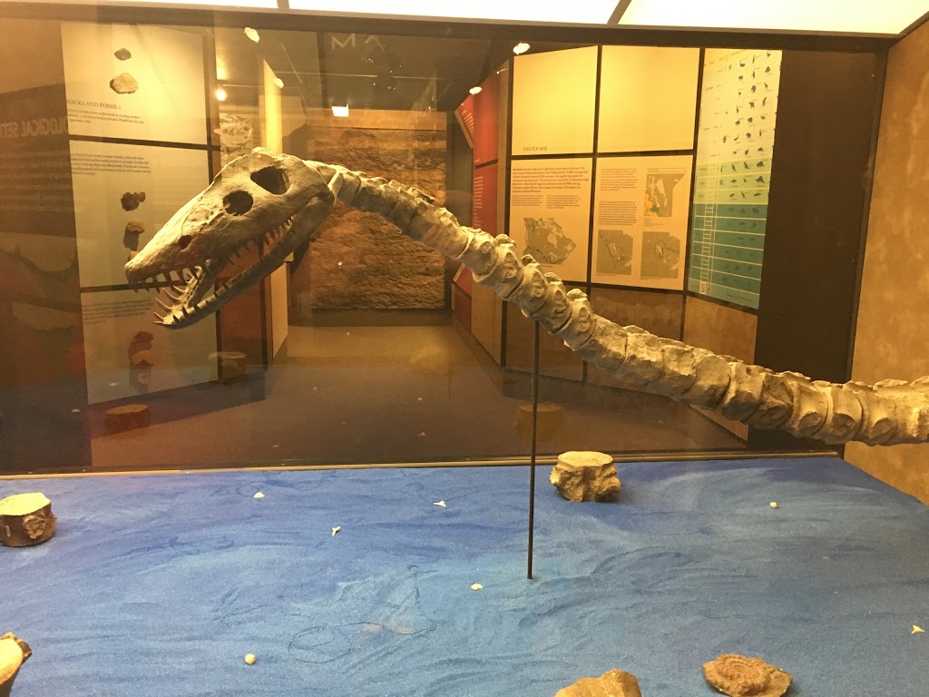 Canadian Fossil Discovery Centre | 111 Gilmour St B, Morden, MB R6M 1N9, Canada | Phone: (204) 822-3406