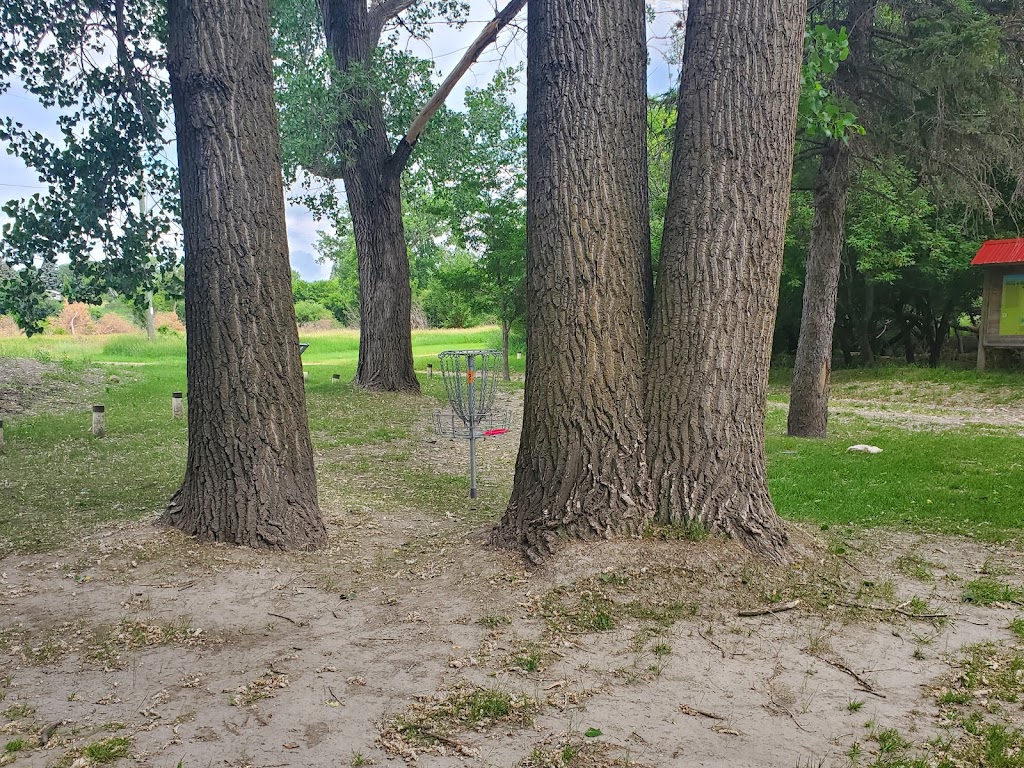 Neepawa Disc Golf Course | 418 Davidson St, Neepawa, MB R0J 1H0, Canada | Phone: (204) 476-7600