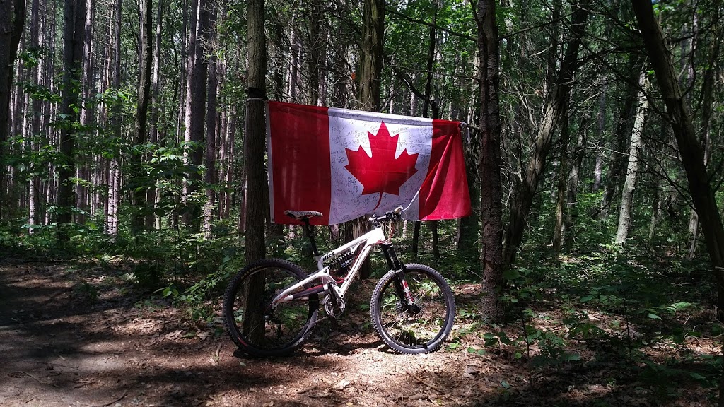 Spooky Hollow Nature Sanctuary | 293 Spooky Hollow Rd, Vittoria, ON N0E 1W0, Canada