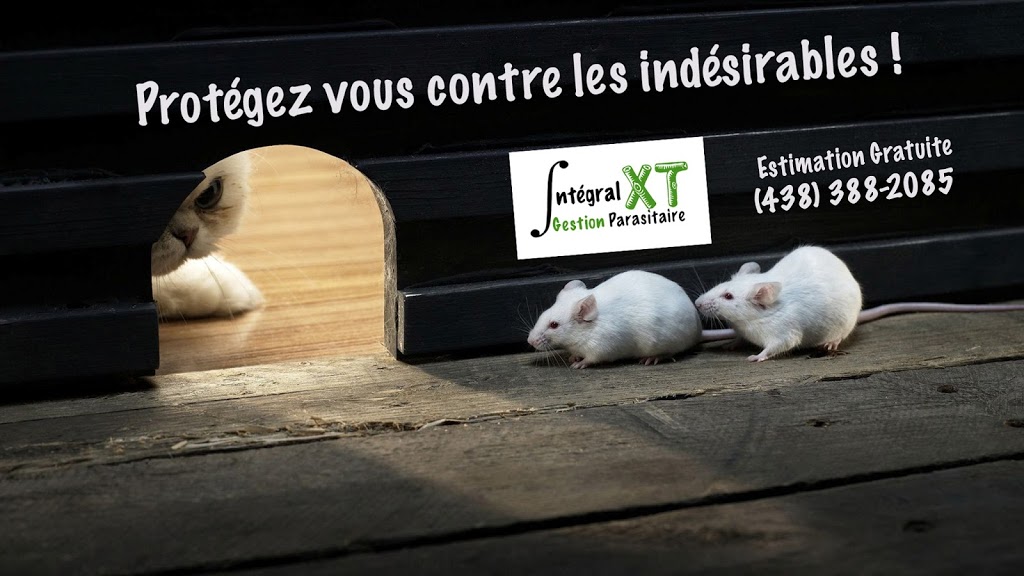 Integral XT Pest Control West Island | 2949 Rue Montcalm, Vaudreuil-Dorion, QC J7V 7W9, Canada | Phone: (855) 472-3352