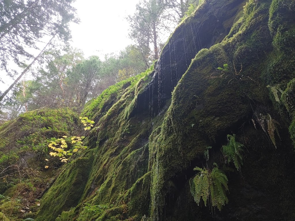 Grassroots Outdoor Play | 2765 Benson View Rd, Nanaimo, BC V9R 6W6, Canada | Phone: (778) 269-0658