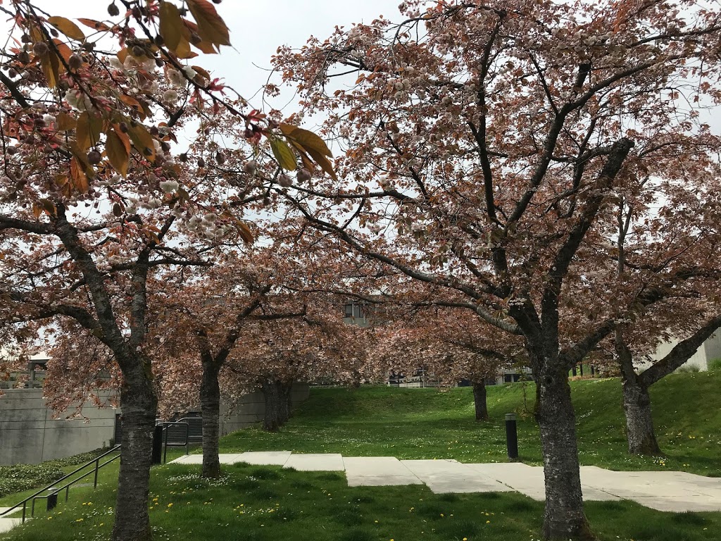 SFU Trottier Observatory | 643A Science Rd, Burnaby, BC V5A, Canada | Phone: (778) 782-6967