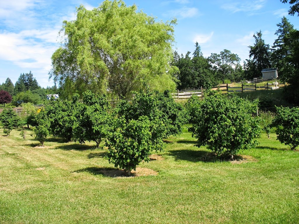 Boat Harbour Farm Nanaimo - Closed till 2023 Christmas Season | 2080 Pace Rd, Nanaimo, BC V9X 1N8, Canada | Phone: (250) 722-2177