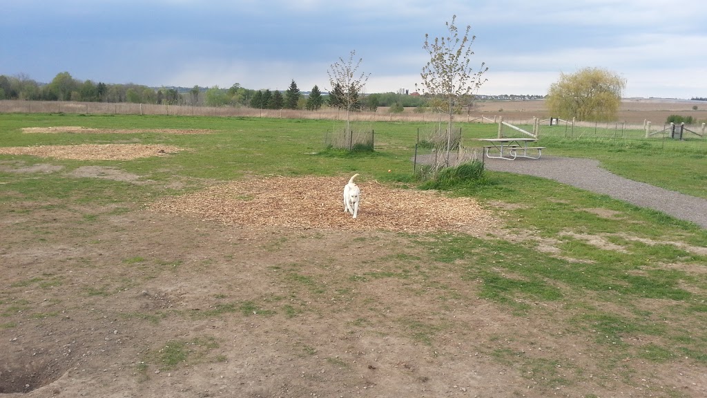 North Whitby Off-Leash Dog Park | 5001-, 5617 Cochrane St, Whitby, ON L1P 2A3, Canada