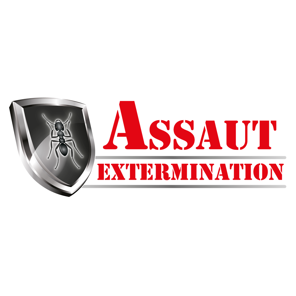 Assaut Extermination | 39 Rue Anatole-Touchette, Saint-Jean-sur-Richelieu, QC J2X 4L5, Canada | Phone: (514) 592-9996