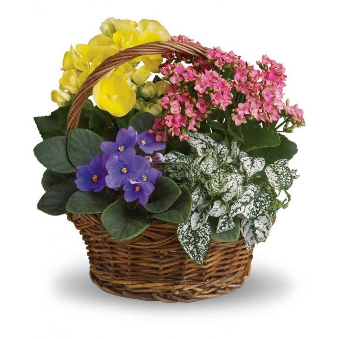 Toronto Bulk Flowers | 9961 Yonge St, Richmond Hill, ON L4C 1T9, Canada | Phone: (416) 568-8009