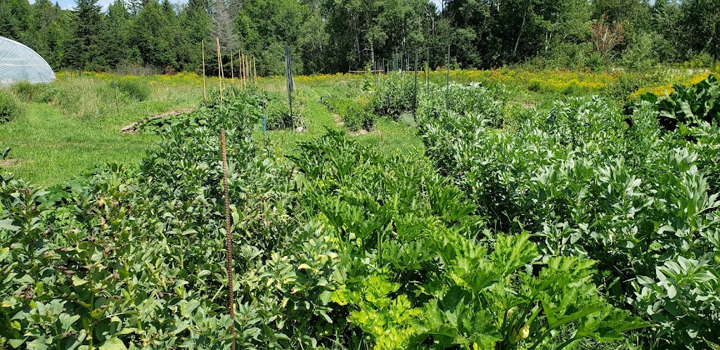 Les Jardins du Tilleul à Lac Saint-Paul | 74 Chem. des Pionniers, Lac-Saint-Paul, QC J0W 1K0, Canada | Phone: (514) 226-3969