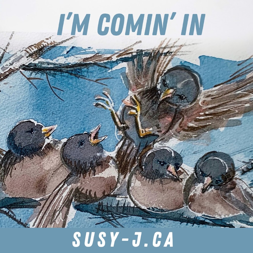 Susy-J Watercolours | 59 Bowser Rd, Bowser, BC V0R 1G0, Canada | Phone: (250) 202-6033