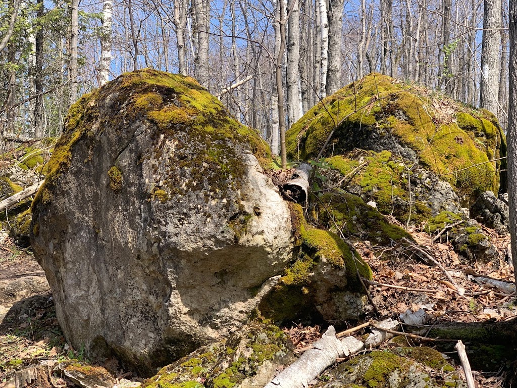 Bayview Escarpment Provincial Nature Reserve | Owen Sound, ON N4K 5W4, Canada | Phone: (519) 389-9056