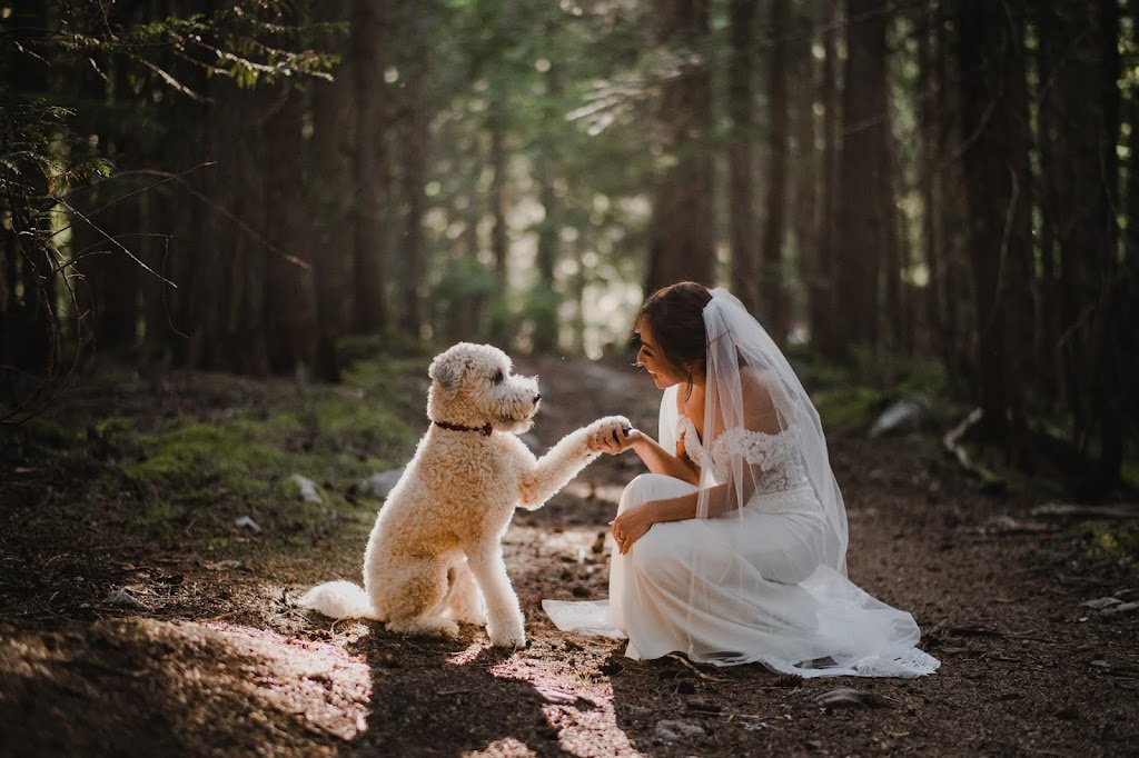 Logan Swayze Photography | 1380 Cloudburst Dr #5, Whistler, BC V8E 0J5, Canada | Phone: (604) 698-6753