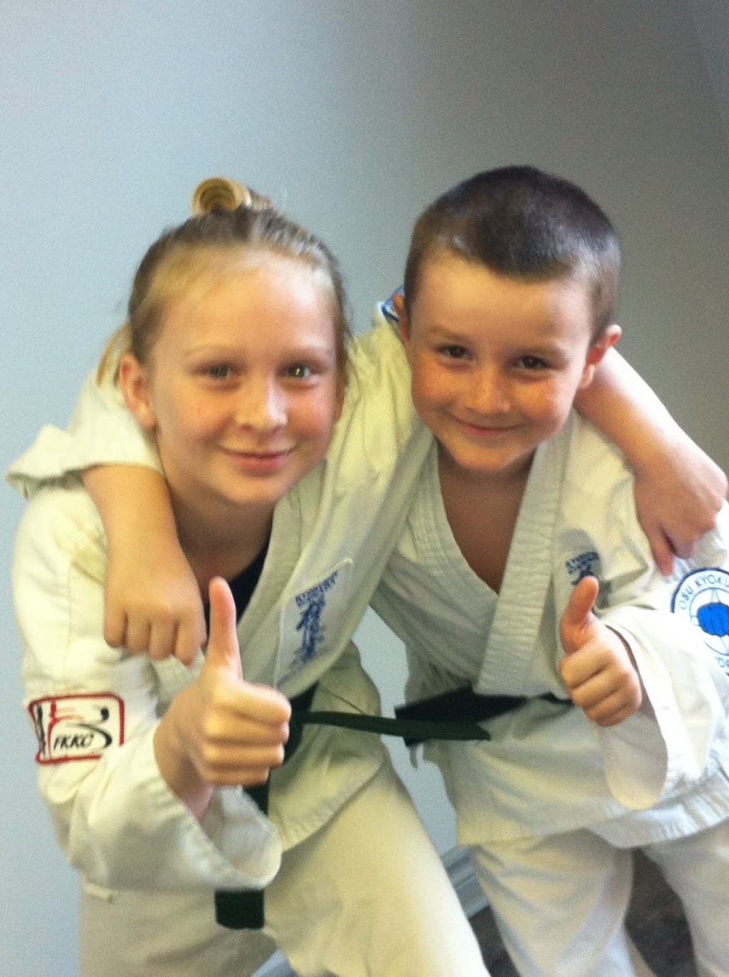 Karate Chambly | 701 Avenue de Salaberry, Chambly, QC J3L 1R2, Canada | Phone: (450) 800-1674