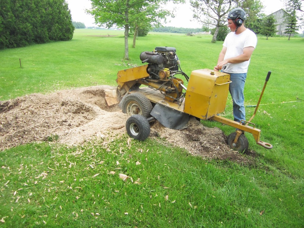 Joels Tree Service | 5009 Line 6, St. Marys, ON N4X 1C8, Canada | Phone: (519) 272-5742