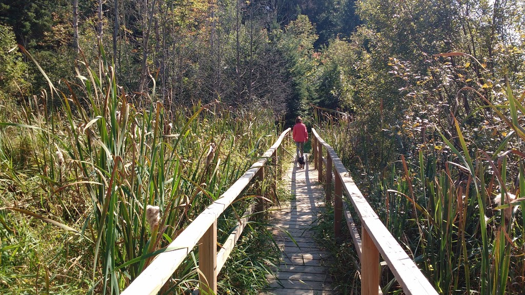 Bee Space @ the Kortright Centre | Woodbridge, Vaughan, ON L4L 1A6, Canada