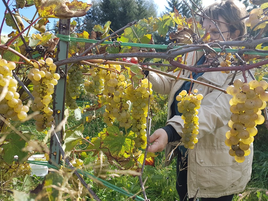 Vignoble Aux Pieds des Noyers | 71 Grande Côte E, Lanoraie, QC J0K 1E0, Canada | Phone: (450) 887-1050