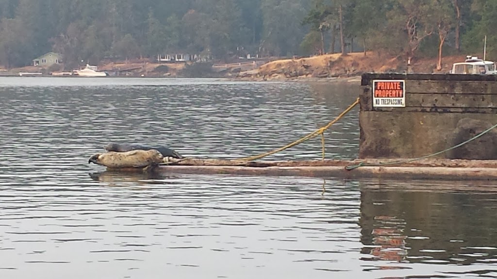 Whaler Bay Government Dock | 74 Whaler Bay Rd, Galiano Island, BC V0N 1P0, Canada | Phone: (250) 539-2264