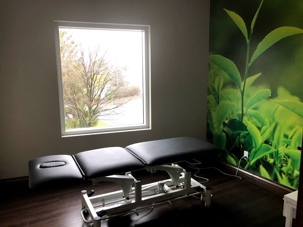 Chiro-Santé-Vitalité | 3101 Ch Sainte-Marie suite 202, Mascouche, QC J7K 1P2, Canada | Phone: (450) 918-4878