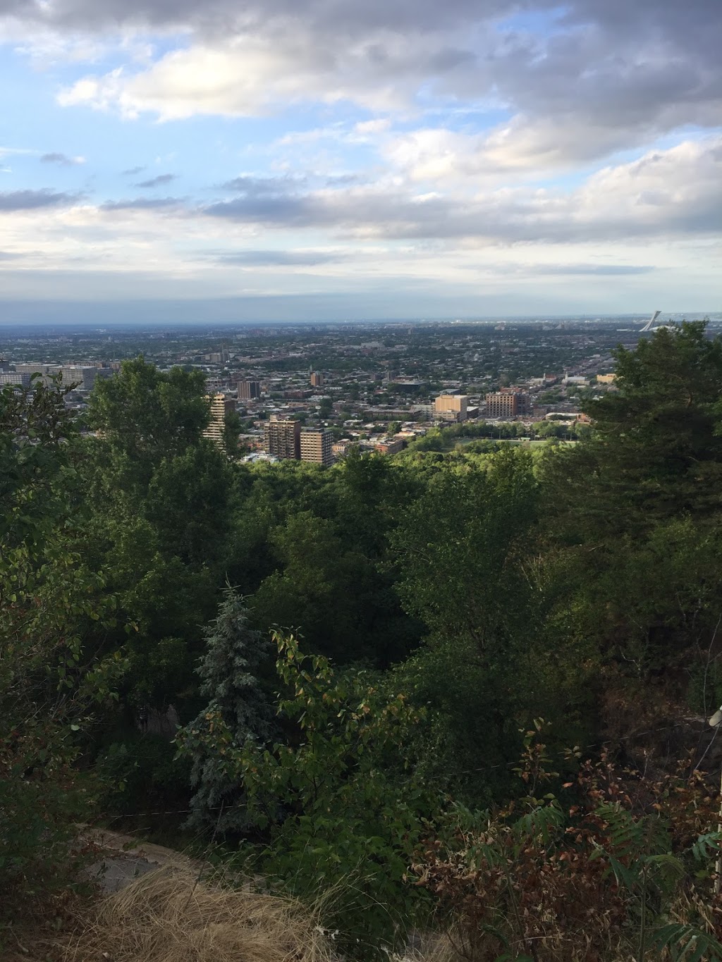 Sentier Du Haut | 1576 Voie Camillien-Houde, Montréal, QC H2W 1S8, Canada